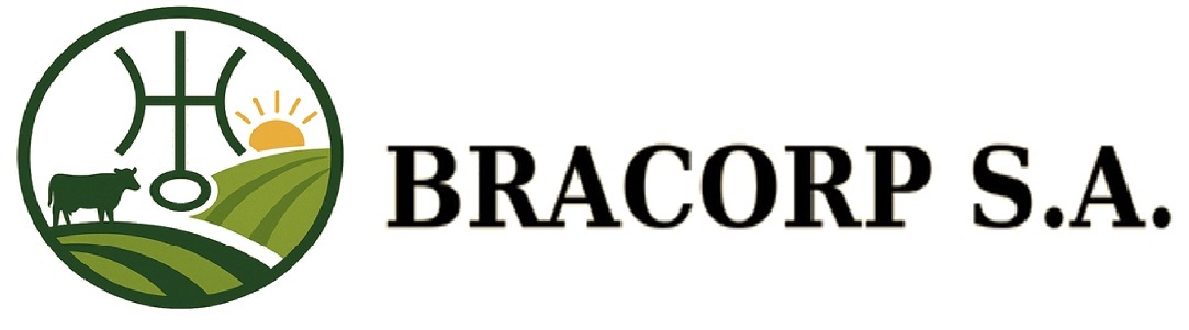 BRACORP S.A.